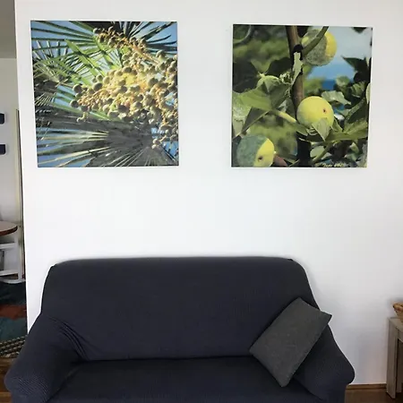 House Oceano Apartment Vantacici